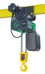 crane with 5t chain hoist
